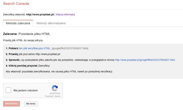 Weryfikacja właśności domeny w Google Search Console
