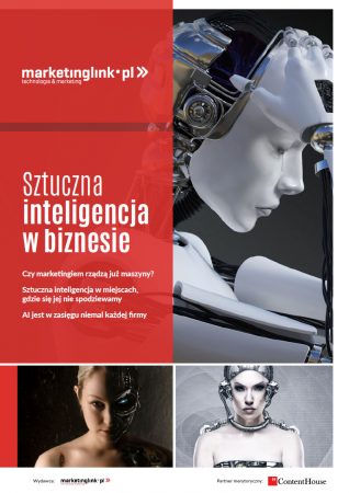 sztuczna-inteligencja-w-biznesie-cover-2